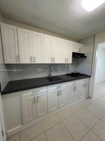 Romont South Green, 70 NE 202nd Ter #T7, Miami Gardens, Florida 33179, image 2