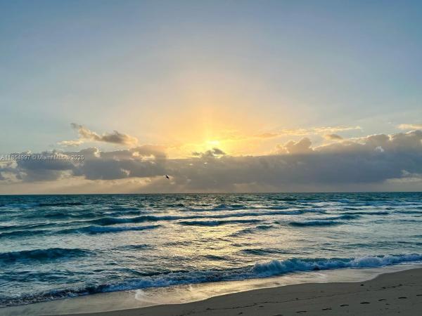 The Collins, 6917 Collins Ave 408, Miami Beach, Florida 33141, image 1