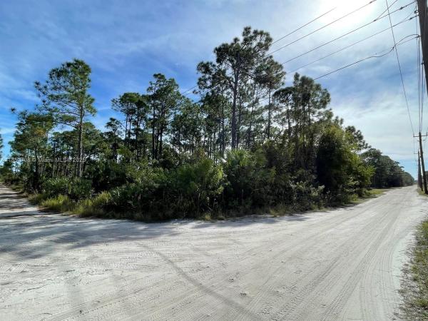 0 Slash Pine Trl, Fort Pierce, Florida 34951, image 1