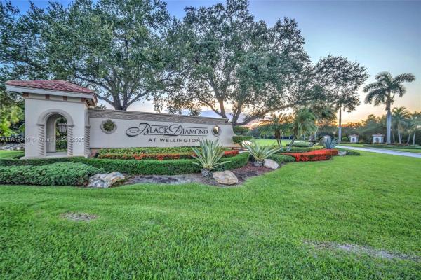 Black Diamond, 10563 Galleria St, Wellington, Florida 33414, image 1