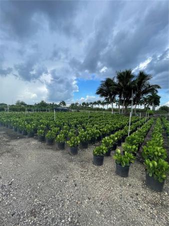 Unincorporated Dade County, Florida 33030, image 1
