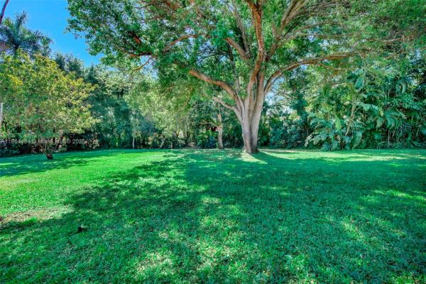 100 N Hibiscus Ct, Plantation, Florida 33317, image 1