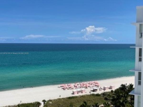 The Carriage Club, 5001 Collins Ave #14A, Miami Beach, Florida 33140, image 1