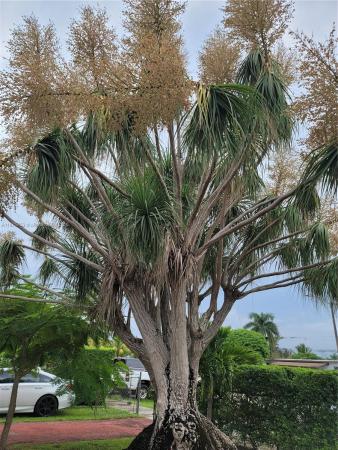 Prosperity Park, 853 SW 3rd St, Florida City, Florida 33034, image 1