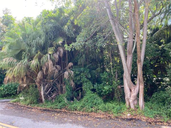 Lindas Casas, 6600 SW 64th Ct, South Miami, Florida 33143, image 3