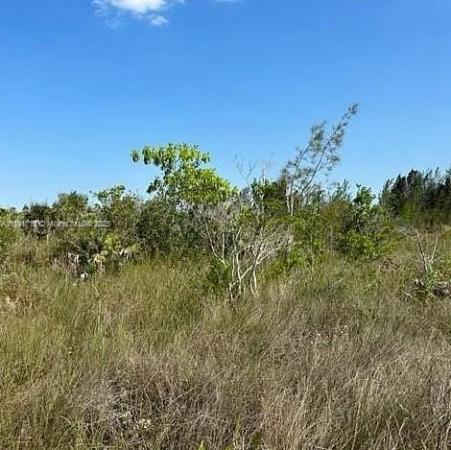 Unincorporated Dade County, Florida 33178, image 1