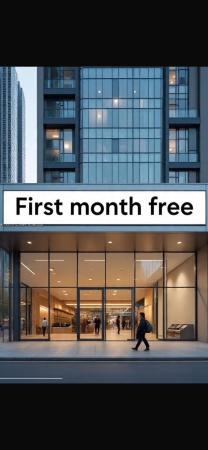 Vizcayne North, 244 Biscayne Blvd #1502, Miami, Florida 33132, image 1