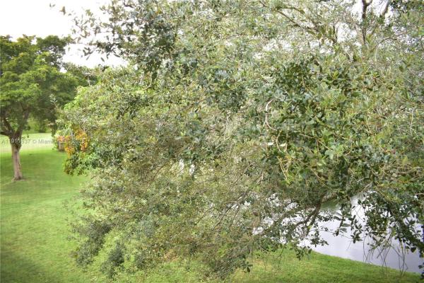 Sunrise Lakes 3, 9301 Sunrise Lakes Blvd #303, Sunrise, Florida 33322, image 1