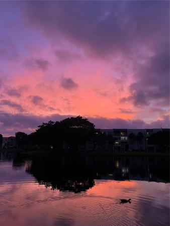 Whitehall Of Pine Island Ridge, 1522 Whitehall Dr #204, Davie, Florida 33324, image 1