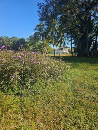 Horse Country, 6255 SW 123rd Ave, Kendale Lakes, Florida 33183, image 3
