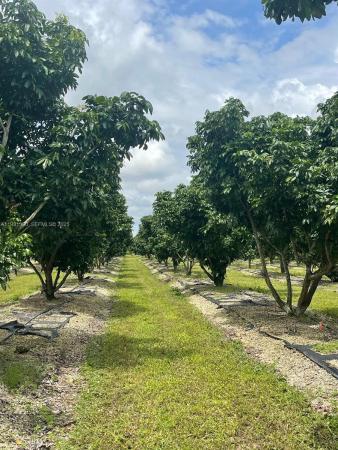 340XX SW 217th Ave, Unincorporated Dade County, Florida 33034, image 1