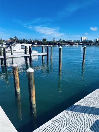 The Villas At The Ritz-Carlton, 4701 N Meridian, Miami Beach, Florida 33140, image 1