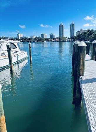 The Villas At The Ritz-Carlton, 4701 N Meridian, Miami Beach, Florida 33140, image 2