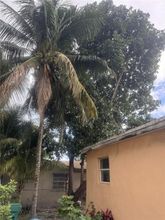 Dupont, 165 NE 70th St, Miami, Florida 33138, image 3