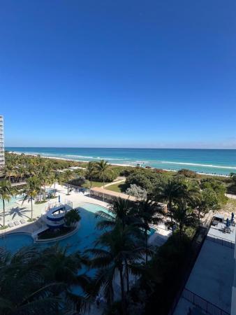 Manatee, 9273 Collins Ave #607, Surfside, Florida 33154, image 1