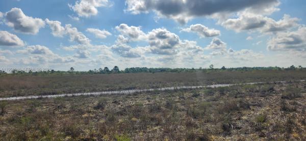 48345 Bermont Rd, Punta Gorda, Florida 33982, image 2
