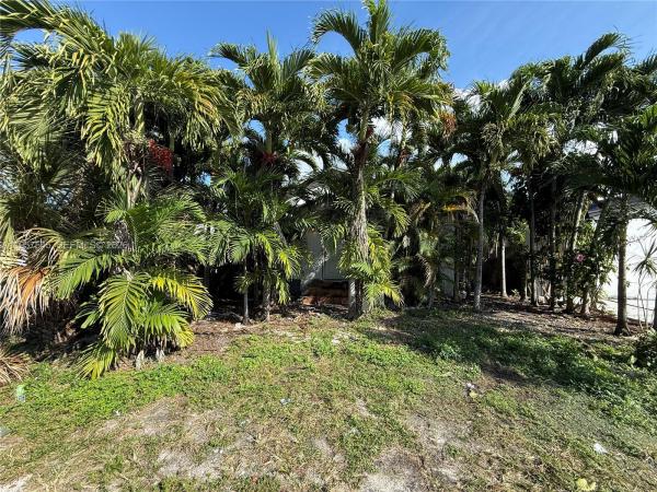 11741 NE 13th Ave, Unincorporated Dade County, Florida 33161, image 3