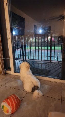 Edgewater, 8801 Wiles Rd #208, Coral Springs, Florida 33067, image 1