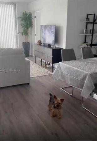 Parc Central Aventura East, 3300 NE 192nd St #906, Aventura, Florida 33180, image 1