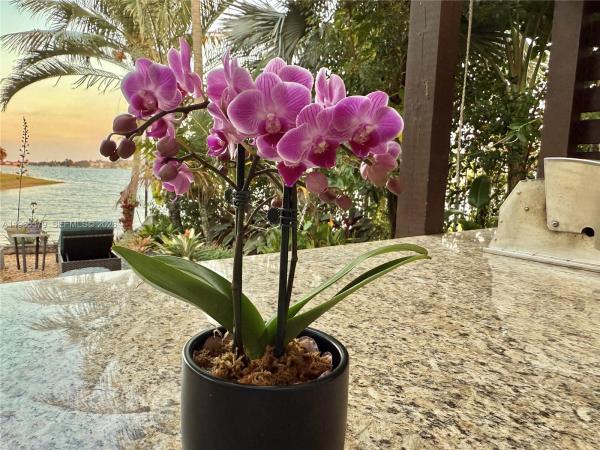 Riviera Isles, 5265 SW 171st Ave, Miramar, Florida 33027, image 1