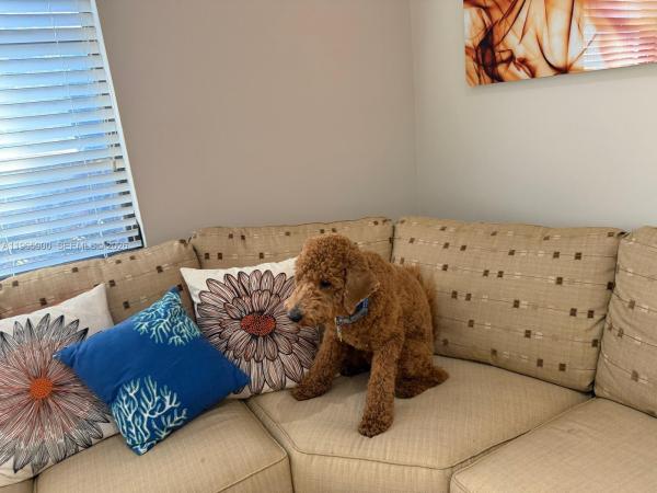 Huntington Pointe, 6180 Kings Gate Cir, Delray Beach, Florida 33484, image 1