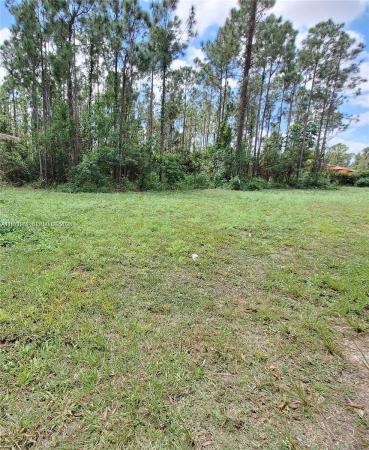 19310 SW 134th St, Homestead, Florida 33034, image 1