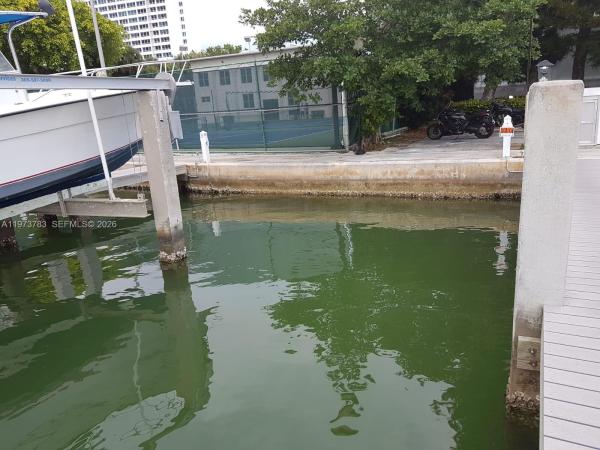 The Carriage House, 5401 Collins Ave #13-17, Miami Beach, Florida 33140, image 2