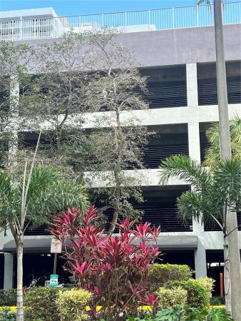 Madison Downtown, 850 N Miami Ave #W-1808, Miami, Florida 33136, image 2