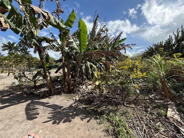 16455 SW 207, Homestead, Florida 33187, image 1