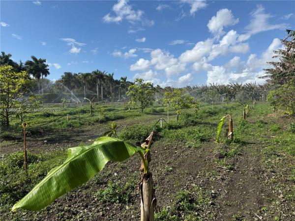 16455 SW 207, Homestead, Florida 33187, image 1