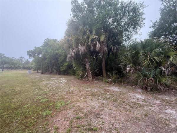 3703 72nd Ave NE, Naples, Florida 34120, image 2