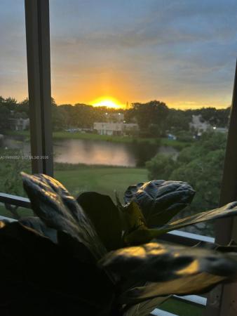 Sabal Palm Of Pine Island Ridge, 1811 Sabal Palm Dr #406, Davie, Florida 33324, image 1