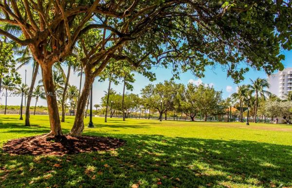 Jasmine, 2615 Collins Ave #37, Miami Beach, Florida 33140, image 2