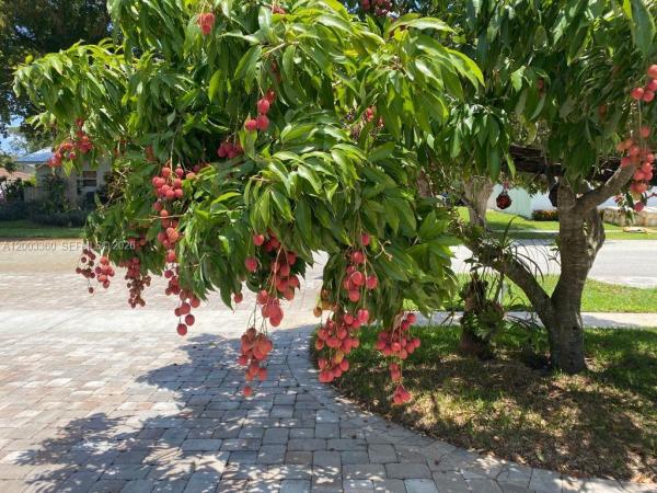 Boca Raton Square, 1251 SW 11th Ter, Boca Raton, Florida 33486, image 1