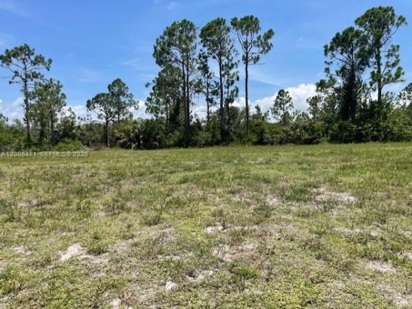 Cape Coral, 1616 NW 25th Ln, Cape Coral, Florida 33993, image 1