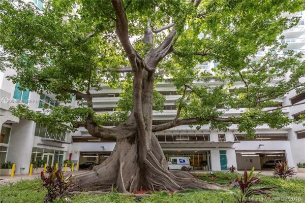 Terrazas Riverpark Village, 1871 NW S River Dr #902, Miami, Florida 33125, image 2