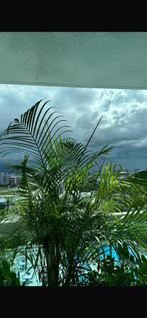 1800 Club, 1800 N Bayshore Dr #1704, Miami, Florida 33132, image 2