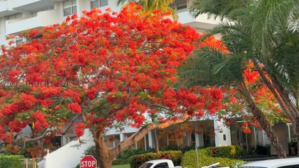 Commodore Club South, 199 Ocean Lane Dr #113, Key Biscayne, Florida 33149, image 3