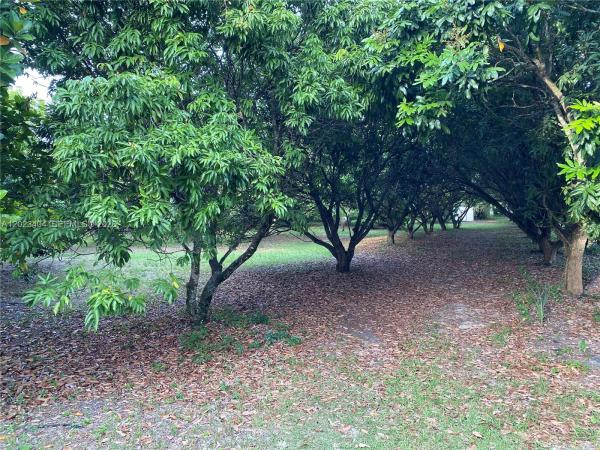 19675 SW 165th Ave, Unincorporated Dade County, Florida 33187, image 1