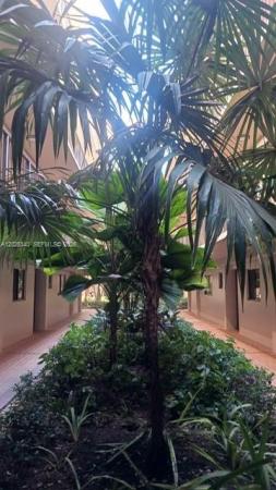 8650 SW 133rd Avenue Rd #208, Unincorporated Dade County, Florida 33183, image 1