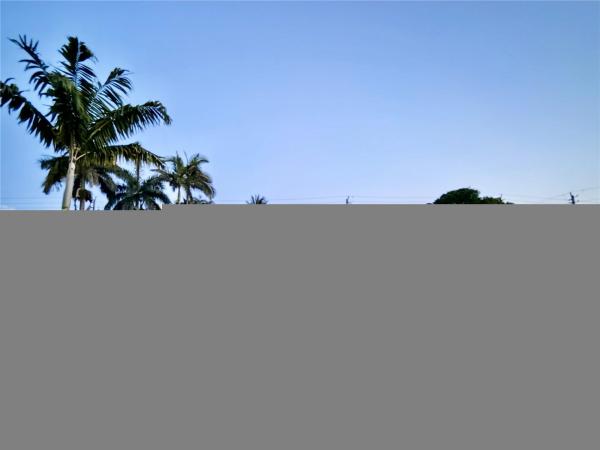 Dalton View, 206 SE 3rd Pl, Dania Beach, Florida 33004, image 1
