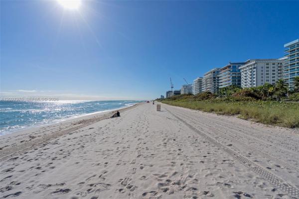 Manatee, 9273 Collins Ave #503, Surfside, Florida 33154, image 1