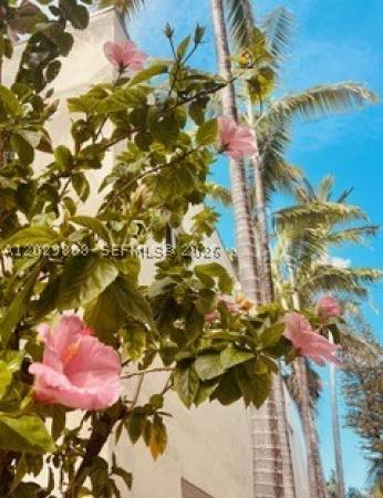Villa Gatsby, 928 Euclid Ave #2, Miami Beach, Florida 33139, image 1