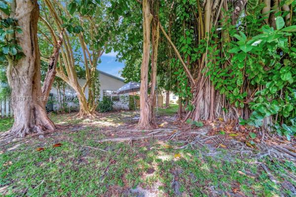 7447 W Sunrise Blvd, Plantation, Florida 33313, image 1