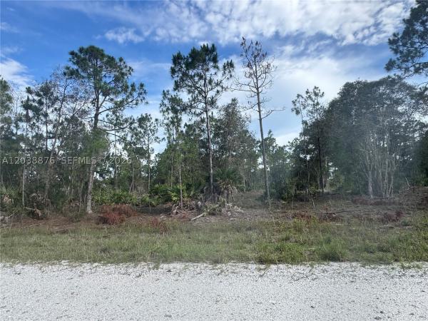 430 Scottsdale St, Lehigh Acres, Florida 33974, image 2