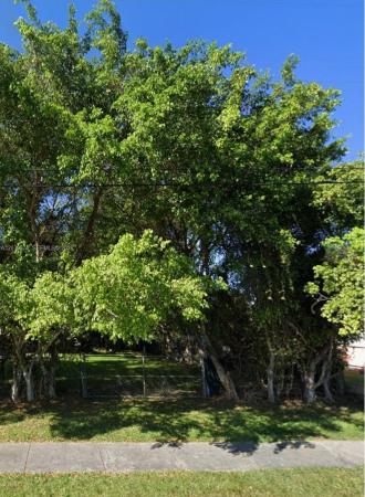 10435 SW 174th Ter, Unincorporated Dade County, Florida 33157, image 1