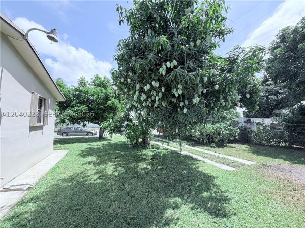New Age, 3397 W 14th Ct, Hialeah, Florida 33012, image 2