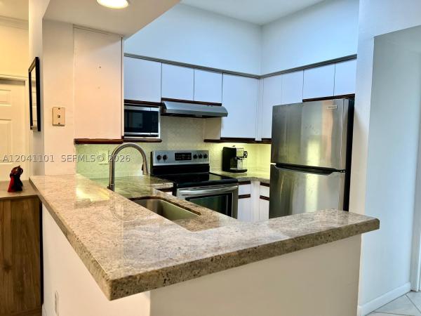 Village By The Bay, 3165 NE 184th St #6301, Aventura, Florida 33160, image 2