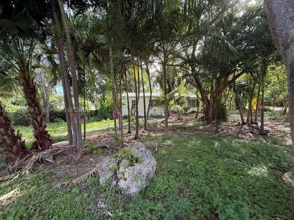 Lindas Casas, 6600 SW 64th Ct, South Miami, Florida 33143, image 1