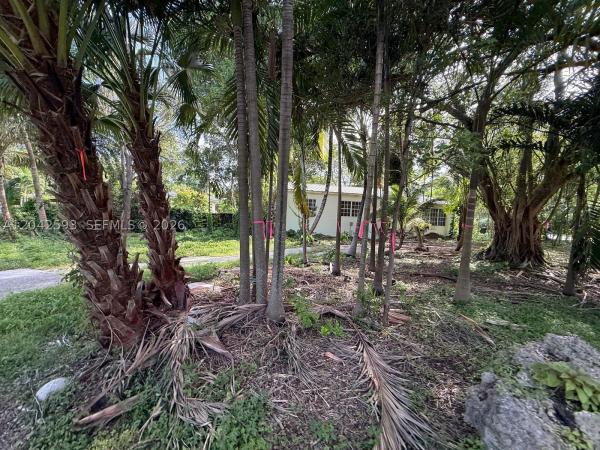 Lindas Casas, 6600 SW 64th Ct, South Miami, Florida 33143, image 3